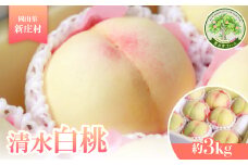 岡山県産　清水白桃＜約3kg＞2025年7月下旬頃より発送予定【1516861】