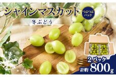2129.＜冬ぶどう＞シャインマスカット つぶつぶパック(約400g×2)【1488990】