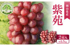 1906.岡山県産 紫苑 2房入＜約1.5kg＞10月中旬頃より発送予定【1516865】