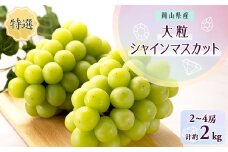 1065.＜先行受付＞特選大粒シャインマスカット2～4房(10月初旬～12月下旬頃発送予定)【1516936】