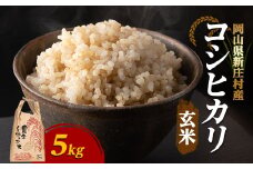 令和6年産 村の一等米コシヒカリ(玄米5kg)【1489805】