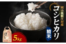 令和6年産 村の一等米コシヒカリ(精米5kg)【1489804】