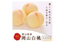岡山県産　白桃 6玉(1.5kg以上) 等級:ロイヤル 化粧箱入り【1546675】
