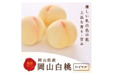 岡山県産　白桃 8玉(2kg以上) 等級:ロイヤル 化粧箱入り【1546676】