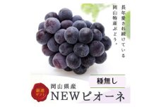 岡山県産　ニューピオーネ4房(1房480g以上)【1546678】