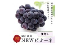 岡山県産　ニューピオーネ2房(1房480g以上) 化粧箱入り【1546679】