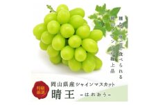 岡山県産 シャインマスカット『晴王』2房(1房480g以上) 化粧箱入り【1546682】