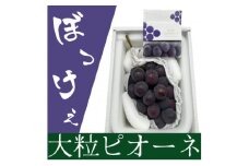 岡山県産 ぼっけえ大粒ニューピオーネ1房(800g以上) 化粧箱入り【1546680】