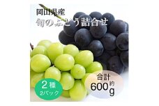 岡山県産 旬のぶどう詰合せ 2種2パックセット【1575477】