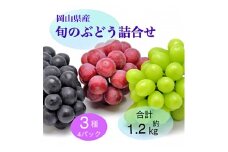 岡山県産 旬のぶどう詰合せ 3種4パックセット【1575479】