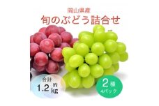 岡山県産 旬のぶどう詰合せ 2種4パックセット【1575481】