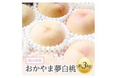 岡山県産「おかやま夢白桃」約3kg|2025年7月下旬以降発送予定【1489035】