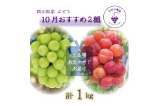 岡山　花笑み農園のブドウ『10月おすすめ 2種セット』(2房)2M-1L＜10月～順次発送＞【1650775】