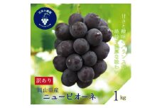 岡山　花笑み農園の 『訳ありニューピオーネ』1kg　WP-1【1650778】