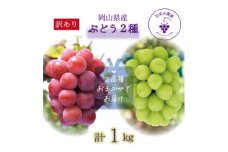 岡山　花笑み農園の『訳あり2種MIX』ブドウ1kg　W2M-1＜9月中旬～順次発送＞【1650786】