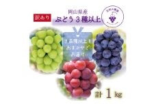 岡山　花笑み農園のブドウ『訳ありMIX3種以上』1kg　W3M-1【1650788】