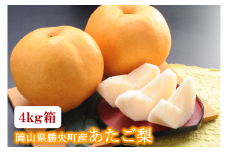 岡山県 勝央町産 梨 あたご梨 4kg箱 (4～5玉) ＜12月上旬発送＞ _A21