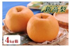 岡山県 勝央町産 梨 新高梨 4kg箱 (4～5玉) ＜10月中旬から11月上旬発送＞ _A20