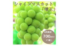 岡山県 勝央町産 ぶどう シャインマスカット 700g以上 (1房) ＜8月発送＞ _A10