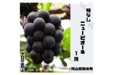 岡山県 勝央町産 ぶどう ニューピオーネ 700g以上 (1房) ＜7月中旬から7月下旬発送＞ _A4