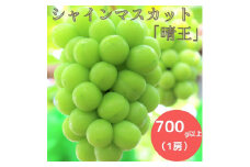 岡山県産 ぶどう シャインマスカット 700g以上 (1房) ＜9月中旬から10月中旬発送＞ _A5