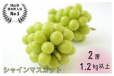 岡山県産 ぶどう シャインマスカット 1.2kg以上 (2房) ＜9月中旬から10月中旬発送＞ _A11