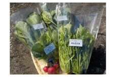 農園・空のこだわり 野菜 8～10品目 _S24