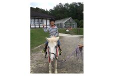 健康にいい！ 癒し効果もある！ 誰でも乗馬が楽しめる！ 引き馬無料券 _S55