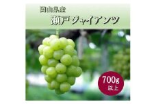 岡山県 勝央町産 ぶどう 瀬戸ジャイアンツ 700g以上 (1房) ＜10月発送＞ _A6