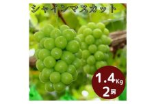 岡山県産 ぶどう シャインマスカット 1.4kg以上 (2房) ＜9月中旬から10月中旬発送＞ _A18