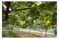 写真はイメージです。