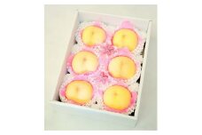 樹熟し 白桃 2kg 糖度12度以上 ＜7月中旬頃から8月下旬頃発送＞ _S89