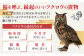 フクロウの寄木細工「ふく玉」