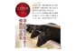 なぎビーフ：焼肉カット 1200g（300g×4） 