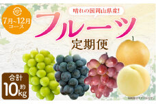 【6回定期便】岡山県産 フルーツ定期便コース 計約10kg 【2025年7月上旬発送開始】 白桃 桃 もも ニューピオーネ 瀬戸ジャイアンツ シャインマスカット 晴王 マスカット ぶどう 葡萄 紫苑 あたご 梨 なし フルーツ 果物 くだもの 岡山