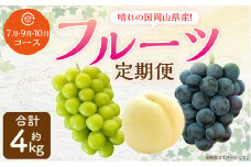 【3回定期便】岡山県産 フルーツ定期便コース （白桃・ニューピオーネ・晴王） 計約4kg 【2025年7月上旬発送開始】 白桃 桃 もも ニューピオーネ シャインマスカット 晴王 ぶどう 葡萄 マスカット フルーツ 果物 くだもの 岡山