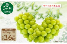 【3回定期便】岡山県産 シャインマスカット 晴王 計約3.6kg 2房（1房600g以上）×3回 【2025年8月下旬発送開始】 フルーツ 果物 くだもの 定期便 3回 ぶどう 葡萄 マスカット 岡山
