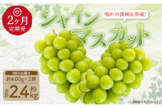 【2回定期便】岡山県産 シャインマスカット 晴王 計約2.4kg 2房（1房600g以上）×2回【2025年8月下旬発送開始】 フルーツ 果物 くだもの 定期便 2回 ぶどう 葡萄 マスカット 岡山