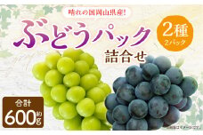 岡山県産 ぶどう パック 詰合せ ※2種2パックセット 計約600g 【2025年9月上旬～10月下旬発送予定】 岡山 シャインマスカット ニューピオーネ 果物 くだもの フルーツ ブドウ 葡萄 セット