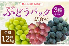 岡山県産 ぶどう パック 詰合せ ※3種4パックセット 計約1.2kg 【2025年9月上旬～10月下旬発送予定】 岡山 シャインマスカット ニューピオーネ 旬 果物 くだもの フルーツ ぶどう ブドウ 葡萄 セット
