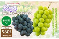 岡山県産 ぶどう詰合 ニューピオーネ 1房・シャインマスカット 晴王 1房 （各480g以上） 化粧箱入り 【2025年8月下旬～10月上旬迄発送予定】 果物 くだもの フルーツ ぶどう ブドウ 葡萄 マスカット 詰め合わせ 詰合せ 岡山 おかやま 国産 冷蔵