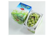 シャインマスカット晴王 約600g×1房 【2025年8月下旬～11月下旬迄発送】 岡山 種無し 種なし マスカット 果物 くだもの フルーツ ぶどう ブドウ 葡萄 冷蔵