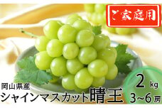 ご家庭用 シャインマスカット 晴王 3～6房 計約2kg 【2025年8月下旬～11月下旬迄発送】 岡山 種無し 種なし マスカット 果物 くだもの フルーツ ぶどう ブドウ 葡萄 冷蔵
