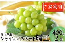 ご家庭用 シャインマスカット 晴王 約400g×2房 計約800g 【2025年8月下旬～11月下旬迄発送】 岡山 種無し 種なし マスカット 果物 くだもの フルーツ ぶどう ブドウ 葡萄 冷蔵