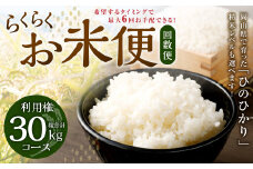 【定期便6回分】らくらくお米便 30kgコース 利用権 5kg×6回 お米 ひのひかり 