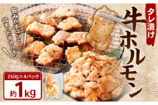 タレ漬け 牛ホルモン 1.0kg （250g×4パック） 牛肉 牛 お肉 肉 たれ タレ ホルモン 焼き肉 焼肉 小分け 冷凍