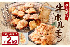 タレ漬け 牛ホルモン 2.0kg （250g×8パック） 牛肉 牛 お肉 肉 たれ タレ ホルモン 焼き肉 焼肉 小分け 冷凍