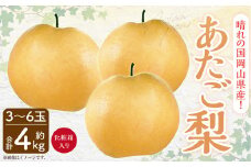 岡山県産 あたご梨 3-6玉 （約4kg） 化粧箱入り 【2025年11月下旬～12月下旬発送予定】 果物 くだもの フルーツ 梨 なし 贈答 ギフト 岡山 大玉