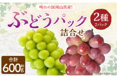 岡山県産 ぶどう パック詰合せ ※2種2パックセット 【2025年9月上旬～11月下旬発送予定】 岡山 シャインマスカット 旬 果物 くだもの フルーツ ぶどう ブドウ 葡萄 セット