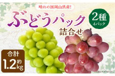 岡山県産 ぶどう パック詰合せ ※2種4パックセット 【2025年9月上旬～11月下旬発送予定】 岡山 シャインマスカット 旬 果物 くだもの フルーツ ぶどう ブドウ 葡萄 セット
